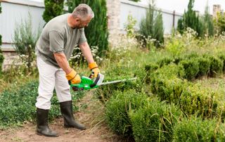 oude-man-snoeimachine-struiken